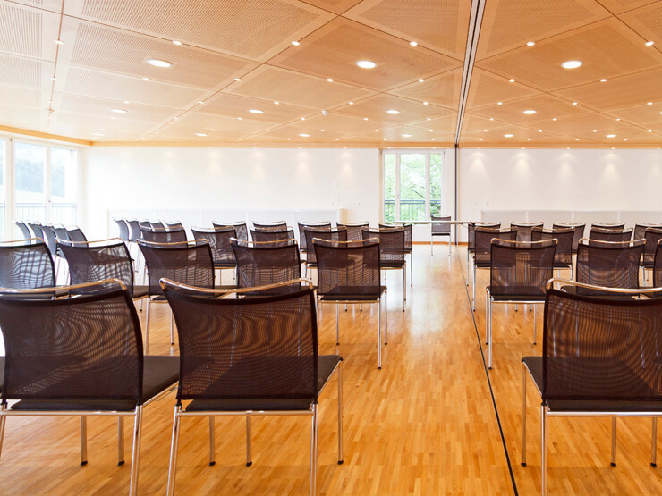 conference and meeting rooms at Hotel Hirschen Wildhaus, Toggenburg